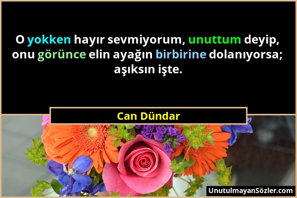 Can Dündar - O yokken hayır sevmiyorum, unuttum deyip, onu görünce elin ayağın birbirine dolanıyorsa; aşıksın işte....