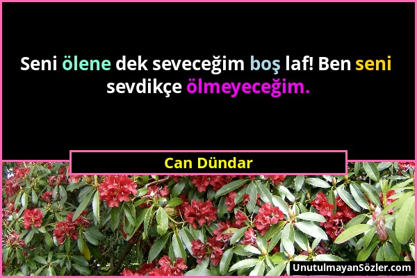 Can Dündar - Seni ölene dek seveceğim boş laf! Ben seni sevdikçe ölmeyeceğim....