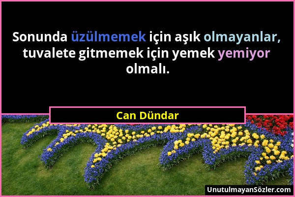 Can Dundar Sonunda Uzulmemek Icin Asik Olmayanlar Tuvalet