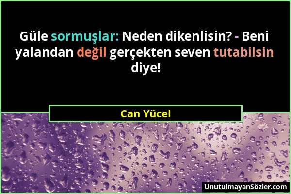 Can Yücel - Güle sormuşlar: Neden dikenlisin? - Beni yalandan değil gerçekten seven tutabilsin diye!...