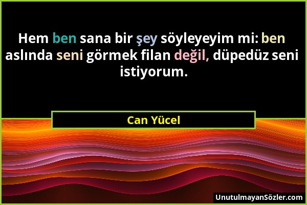 Can Yücel - Hem ben sana bir şey söyleyeyim mi: ben aslında seni görmek filan değil, düpedüz seni istiyorum....