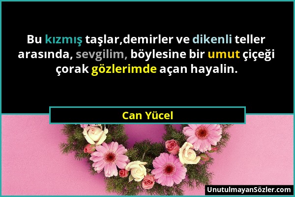 Can Yücel - Bu kızmış taşlar,demirler ve dikenli teller arasında, sevgilim, böylesine bir umut çiçeği çorak gözlerimde açan hayalin....