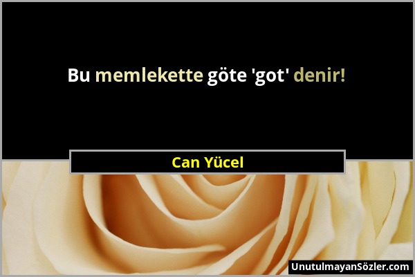 Can Yücel - Bu memlekette göte 'got' denir!...