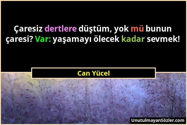 Can Yücel - Çaresiz dertlere düştüm, yok mü bunun çaresi? Var: yaşamayı ölecek kadar sevmek!...