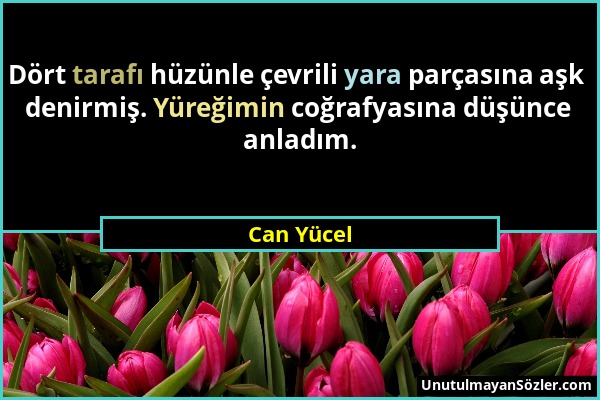 Can Yücel - Dört tarafı hüzünle çevrili yara parçasına aşk denirmiş. Yüreğimin coğrafyasına düşünce anladım....