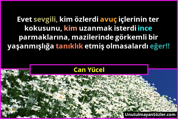 Can Yücel - Evet sevgili, kim özlerdi avuç içlerinin ter kokusunu, kim uzanmak isterdi ince parmaklarına, mazilerinde görkemli bir yaşanmışlığa tanıkl...