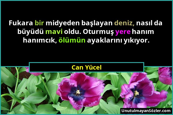 Can Yücel - Fukara bir midyeden başlayan deniz, nasıl da büyüdü mavi oldu. Oturmuş yere hanım hanımcık, ölümün ayaklarını yıkıyor....