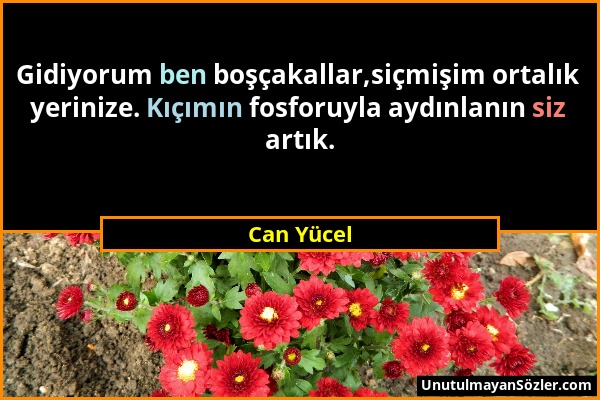 Can Yücel - Gidiyorum ben boşçakallar,siçmişim ortalık yerinize. Kıçımın fosforuyla aydınlanın siz artık....