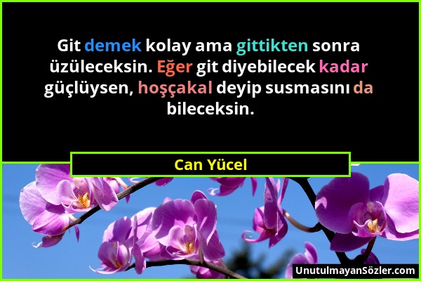 Can Yücel - Git demek kolay ama gittikten sonra üzüleceksin. Eğer git diyebilecek kadar güçlüysen, hoşçakal deyip susmasını da bileceksin....