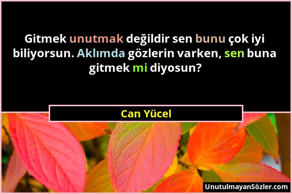 Can Yücel - Gitmek unutmak değildir sen bunu çok iyi biliyorsun. Aklımda gözlerin varken, sen buna gitmek mi diyosun?...