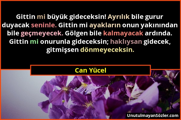 Can Yücel - Gittin mi büyük gideceksin! Ayrılık bile gurur duyacak seninle. Gittin mi ayakların onun yakınından bile geçmeyecek. Gölgen bile kalmayaca...