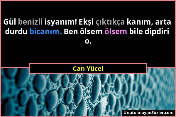 Can Yücel - Gül benizli isyanım! Ekşi çıktıkça kanım, arta durdu bicanım. Ben ölsem ölsem bile dipdiri o....