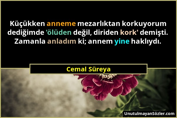 Cemal Süreya - Küçükken anneme mezarlıktan korkuyorum dediğimde 'ölüden değil, diriden kork' demişti. Zamanla anladım ki; annem yine haklıydı....