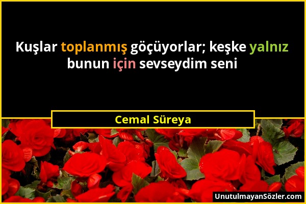 Cemal Süreya - Kuşlar toplanmış göçüyorlar; keşke yalnız bunun için sevseydim seni...