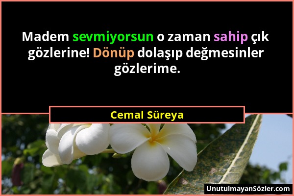 Cemal Süreya - Madem sevmiyorsun o zaman sahip çık gözlerine! Dönüp dolaşıp değmesinler gözlerime....