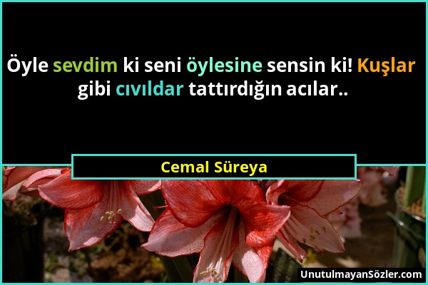 Cemal Süreya - Öyle sevdim ki seni öylesine sensin ki! Kuşlar gibi cıvıldar tattırdığın acılar.....