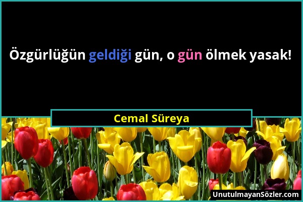 Cemal Süreya - Özgürlüğün geldiği gün, o gün ölmek yasak!...