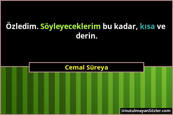 Cemal Süreya - Özledim. Söyleyeceklerim bu kadar, kısa ve derin....