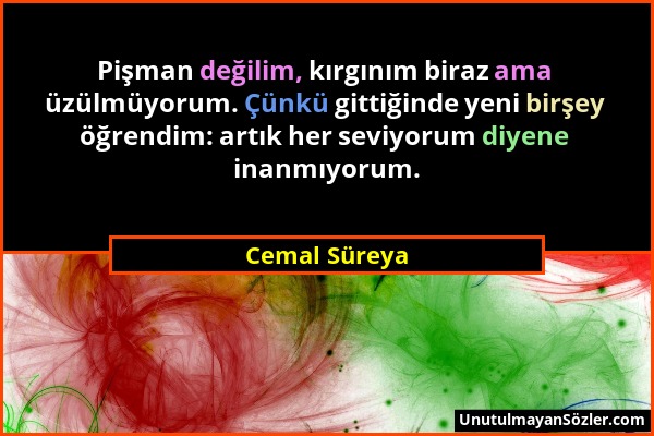 Cemal Süreya - Pişman değilim, kırgınım biraz ama üzülmüyorum. Çünkü gittiğinde yeni birşey öğrendim: artık her seviyorum diyene inanmıyorum....