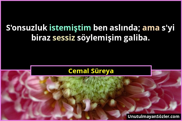 Cemal Süreya - S'onsuzluk istemiştim ben aslında; ama s'yi biraz sessiz söylemişim galiba....