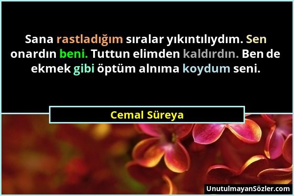 Cemal Süreya - Sana rastladığım sıralar yıkıntılıydım. Sen onardın beni. Tuttun elimden kaldırdın. Ben de ekmek gibi öptüm alnıma koydum seni....