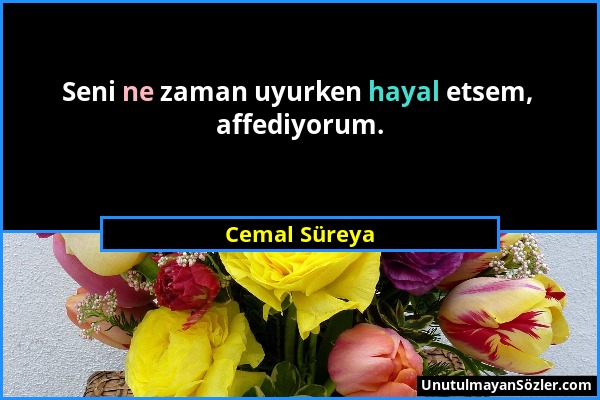 Cemal Süreya - Seni ne zaman uyurken hayal etsem, affediyorum....