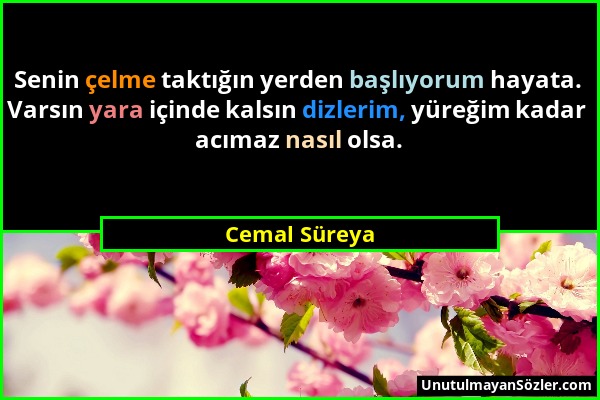 Cemal Süreya - Senin çelme taktığın yerden başlıyorum hayata. Varsın yara içinde kalsın dizlerim, yüreğim kadar acımaz nasıl olsa....