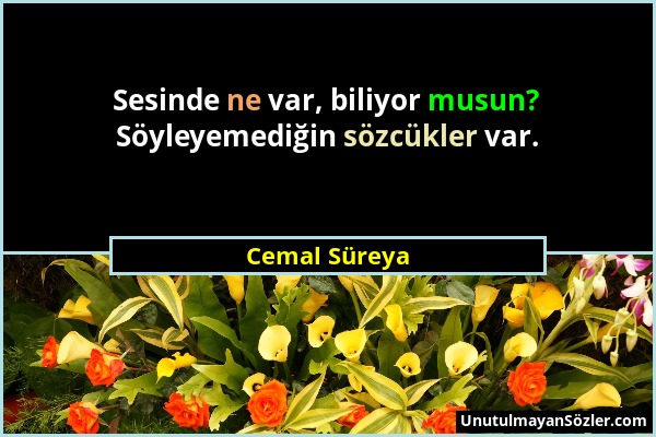 Cemal Süreya - Sesinde ne var, biliyor musun? Söyleyemediğin sözcükler var....