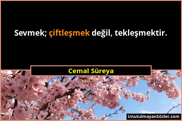 Cemal Süreya - Sevmek; çiftleşmek değil, tekleşmektir....