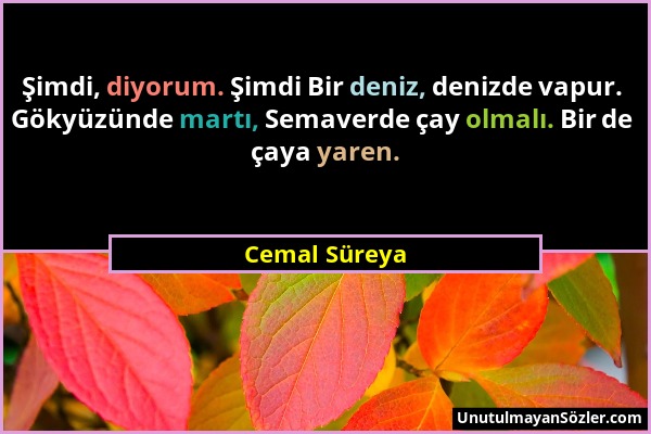 Cemal Süreya - Şimdi, diyorum. Şimdi Bir deniz, denizde vapur. Gökyüzünde martı, Semaverde çay olmalı. Bir de çaya yaren....