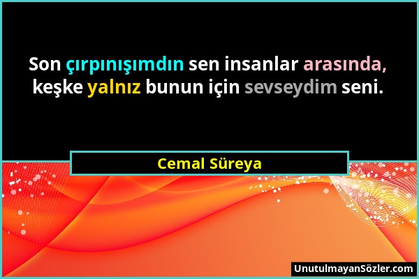 Cemal Süreya - Son çırpınışımdın sen insanlar arasında, keşke yalnız bunun için sevseydim seni....