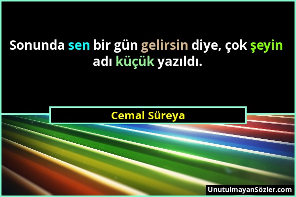 Cemal Süreya - Sonunda sen bir gün gelirsin diye, çok şeyin adı küçük yazıldı....