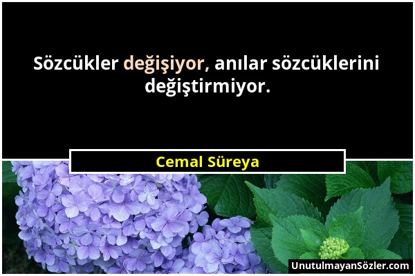 Cemal Süreya - Sözcükler değişiyor, anılar sözcüklerini değiştirmiyor....