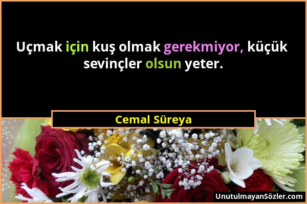 Cemal Süreya - Uçmak için kuş olmak gerekmiyor, küçük sevinçler olsun yeter....