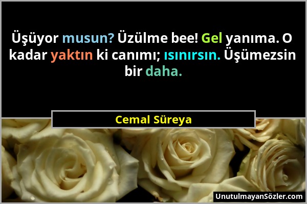 Cemal Süreya - Üşüyor musun? Üzülme bee! Gel yanıma. O kadar yaktın ki canımı; ısınırsın. Üşümezsin bir daha....