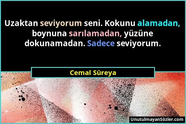 Cemal Süreya - Uzaktan seviyorum seni. Kokunu alamadan, boynuna sarılamadan, yüzüne dokunamadan. Sadece seviyorum....