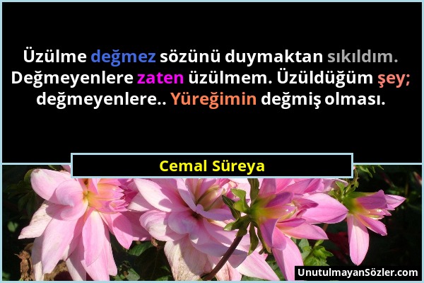 Cemal Süreya - Üzülme değmez sözünü duymaktan sıkıldım. Değmeyenlere zaten üzülmem. Üzüldüğüm şey; değmeyenlere.. Yüreğimin değmiş olması....