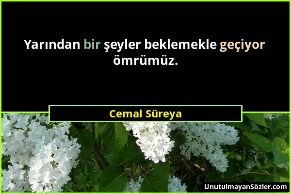 Cemal Süreya - Yarından bir şeyler beklemekle geçiyor ömrümüz....