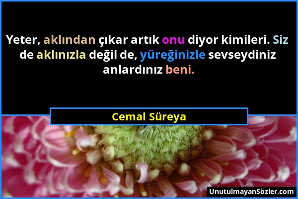 Cemal Süreya - Yeter, aklından çıkar artık onu diyor kimileri. Siz de aklınızla değil de, yüreğinizle sevseydiniz anlardınız beni....