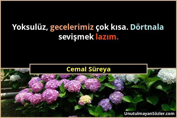 Cemal Süreya - Yoksulüz, gecelerimiz çok kısa. Dörtnala sevişmek lazım....