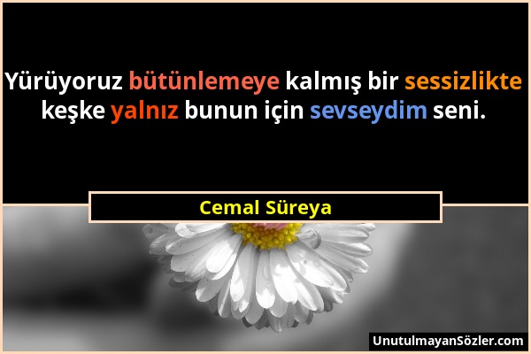 Cemal Süreya - Yürüyoruz bütünlemeye kalmış bir sessizlikte keşke yalnız bunun için sevseydim seni....