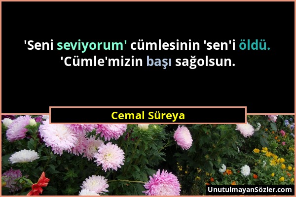 Cemal Süreya - 'Seni seviyorum' cümlesinin 'sen'i öldü. 'Cümle'mizin başı sağolsun....