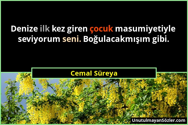 Cemal Süreya - Denize ilk kez giren çocuk masumiyetiyle seviyorum seni. Boğulacakmışım gibi....