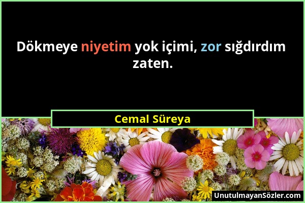 Cemal Süreya - Dökmeye niyetim yok içimi, zor sığdırdım zaten....