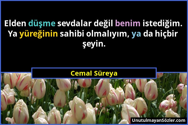 Cemal Süreya - Elden düşme sevdalar değil benim istediğim. Ya yüreğinin sahibi olmalıyım, ya da hiçbir şeyin....