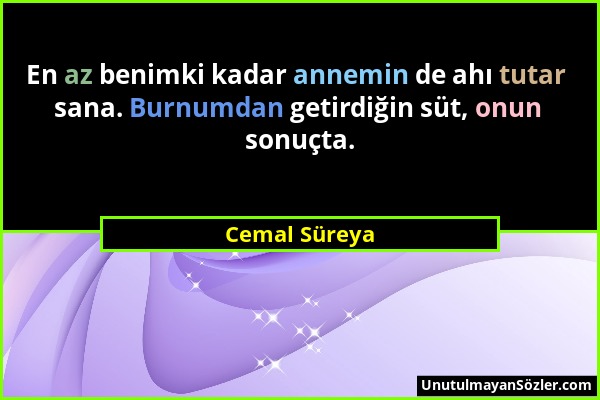 Cemal Süreya - En az benimki kadar annemin de ahı tutar sana. Burnumdan getirdiğin süt, onun sonuçta....