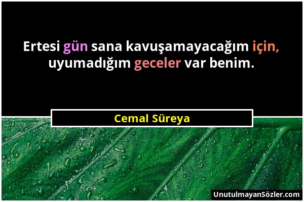 Cemal Süreya - Ertesi gün sana kavuşamayacağım için, uyumadığım geceler var benim....