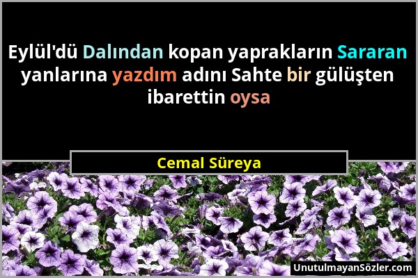 Cemal Süreya - Eylül'dü Dalından kopan yaprakların Sararan yanlarına yazdım adını Sahte bir gülüşten ibarettin oysa...