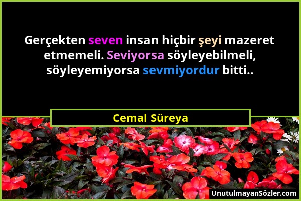 Cemal Süreya - Gerçekten seven insan hiçbir şeyi mazeret etmemeli. Seviyorsa söyleyebilmeli, söyleyemiyorsa sevmiyordur bitti.....