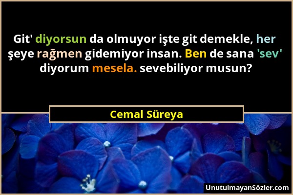 Cemal Süreya - Git' diyorsun da olmuyor işte git demekle, her şeye rağmen gidemiyor insan. Ben de sana 'sev' diyorum mesela. sevebiliyor musun?...